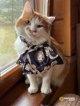 WhatsApp Image 2025-12-07 at 14.04.09