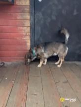 document_5348572058458558185-0-00-01-964