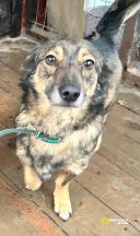 photo_5348572058918522416_y