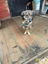 photo_5348572058918522417_y