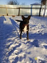 76FMd3089Y4E6gRxZ2SO3TgnKBK0TVibyhd09soSqQm_11jj-v9NabxwLLtrgFji55ocf4R5KbLnQoUVl8PkLBv4