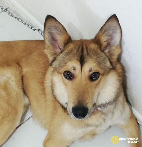 Джек ищет свой дом