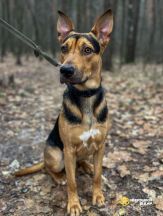 IMG_20260108_090944_574