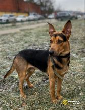 IMG_20260108_090944_866