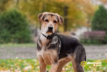 photo_2025-11-03_16-37-59