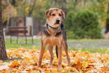 photo_2025-11-03_16-38-06