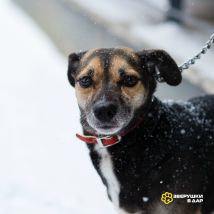 spnx6WrG3G1faYSFliWpe4ffcWfMJECi6wE0adVVuWLmRLrGZ_egQQXbt1rf_eobekFloh4xof2PKNqg-PdPB1Y-