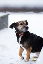 woumvBTOfRFHhpCq2nzxO07QceJiPR_HIl1Y9gLoosNrr6QHk5gsbsSWQbx4gBwAGA4mKlEypWG3dDaxzQHuH6yQ