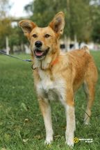 Найда еще (12)