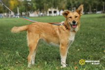 Найда еще (1)