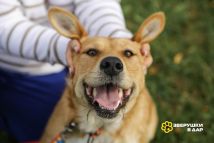 Найда еще (4)