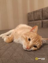 zrtDOvv30g80GQMA36p2DSjLv_gF4zXaYJ54xvjvdqAMkWTo0AoTZPMQ_9kEkKUKkdYTT2cWAe61PmUQkEaWBMJc