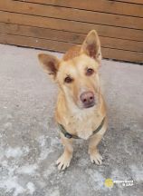 IAoqTOq3Dl34LqnnkTRIEwnp1HPfptySJZks_rHF4QqsfOoLzf_e_k_Uj_wjhWF6OK1TeI_9Q72hUWar9dZ4b--y