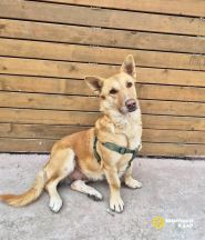 yKjUFIPqX2xSwBjT1k7bBGBizWgoozQEl85WtuIu660SLoOZ5VLV9HqjkoCgorHC39luuROrtypPcfZTY_YnWwVg