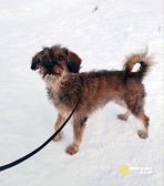 photo_5219906959128072685_y