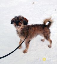 photo_5219906959128072685_y