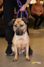 2-SCk72iqWuuG_EGvBoCqedvsk56ETi1C3gx8d-wAUF6p6bvECozl0eRPFF70pK4S1d3g2Qr7PWdVN81T1aEoHj3