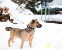 bTaP57myLAir8z6N_3S_E_lqerVxeeQhfQRWyslGrKJpL9AXGZAHJtshJe6bAwMq53NPknf2y24RkL8bMF7bDfQi