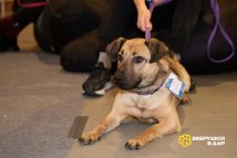 LlwQusLsOkXNAILxcbVCnW62gGItpkA6AqEpNmb6fqh3emOvhWl5SNgdIxdpMnDj-3GaFnU8jLgI4U2mOJPRC9jm