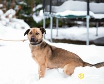 xYiQCw6QPMPPTxK6941ETsz6pogtPr8eKoQVdkcBookGOSbUBchIWwy6pZ1ww1oQRulomlFXskcsDcdeaooN30GP