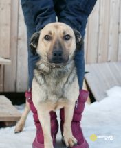 yofoS5xaTrMzSf7hJU1oMl1_UmzCah2OrG5NrYj25whu4ijvAfOMZ9xjvgzO5hB4EcMRL1cyyK3xEIQlBuPVfAva