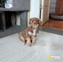 7Rgw_absR1UE0IurSgNdoEvM2w6iu_MxTO2fo2ZyPYkZXLMXTtHtEvrO-ojPBarQd23orsqbK270XLsCI0N_F1wN