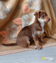 chyox273Fq8CIlCTO8dv1V2zbfg9w8dyYXDixacmYwa4dsL9JpvMnsnBfOvq-SzPP3n-t6pIVyiDunQ1xHoIka4z