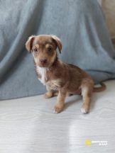 lw0a1sHxBHM-YZIEm7FmIvZKR8DKYbgqM-3TSOYj_bGbInLmN2KbJO-AXm3hBrixW--Ynk_JZ8kEEKwnOS6_V7yd