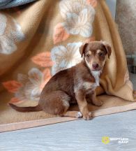 rWUx19ncOfuec51MkOgSk1ztoVeGWb-IJCxI5DSfcrljMTZ2s2BixT6gfrTJr9BgTXXvuxbR6iJqiwfZVxvGDkcB