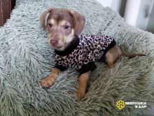 zbQC96f5qGElww1Z4r4g58TczRDYH-en4lGd_lCcUYTHdjYbaWGxKYN0WBB0gS1e_CcxNRBbXs44RP-QHjsnj-nk