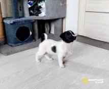 AJeRchcZKAuUHlehhw-dbgoAH6Vc-dMTm3x5Yv_MZdQeQG83a9O9iuOQQAl7CGxYAt4FsJLzmEkSbgU4JoLoPX3Y