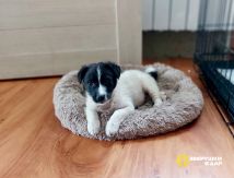 b-bAZf1vJZMnFLDW7zgbG6Lw61WMASZISFpe7Bp43ku24NMkYHq1c2ft5_v8CNofDUQUCaR1qIpJDgDXElTsOShV