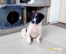 NWELPN2HD4_svJOvsyi1t9s5z7pWmU4tsQr4AMvdBfxMjGM2WFfj-Qkrwq66BFfLoaHfTUXcZWeEsucHT8dCABvb