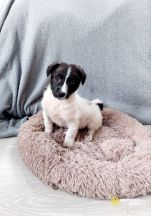 RWICH5q40g9JX9G1bsXlqE6yXVBJ5hB-6wBJbZazpEB1weUyoEgx0LDirNmjuo8tC-qfxxrrbfL_7DmgczeQyI-I