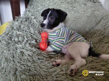 TTkfialixRqsaPimsHna6vJktAdKWfo4wbi6xY4t_HlQiOMmkEs9rnDpL5QF-WsxKpqFqnVfWZjz_PiYA3Cu7JsV