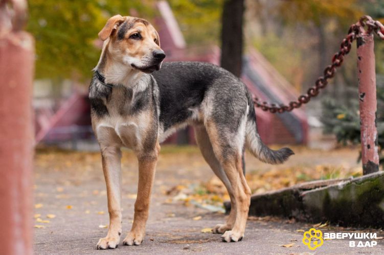 Харт ищет тех, кто станет его настоящей семьёй.