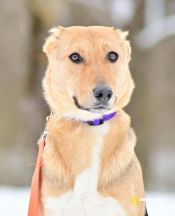 photo_2026-02-15_14-21-20