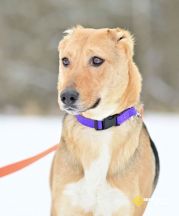 photo_2026-02-15_14-21-28