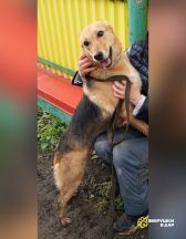 photo_2026-02-15_14-21-35