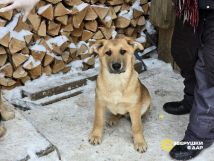 Kn5E0AWI7AA78T8Co-pIkWnkKczidfDAn8SjsOOLNC7nGNCZDlukfTJgIzjXfX8lw7HR6IUfZmZImFgjXiFRC-Z9