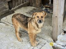 NorX7qFv6kFSWBJoIdthJ1gK2tKjyc7o61oPta_KLaiX8LHrL6uMC5II9bOIrQCadxymlnsqn3rgJDqkAsQ7McPO