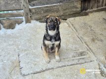 OEiyO3wV5qG3zUGyJgiCHuktEBPTbNEzU7rTy-_ZVrCzJtdF_uI431iKEpWKOunk8G0tSI2vh1dBXlfGe9BE9iYN