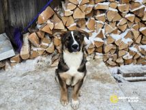 YE1_8qecOyjAND5cqol-CvHzEr0mSEXDEUbcS3qT3R5-FhePOhVVR3YpeZ4cCQxP8gklEjL6_MrwyByUhZfbLS1i