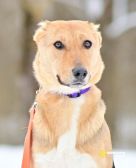 photo_2026-02-15_14-21-20