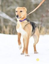 photo_2026-02-15_14-21-24