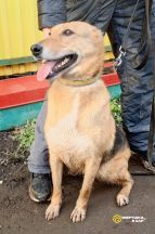 photo_2026-02-15_14-21-31