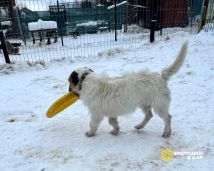 photo_5208611994003510331_y