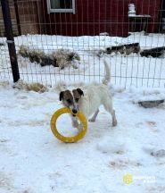 photo_5208611994003510335_y