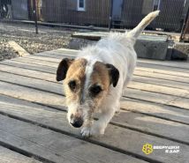 Q64tMoNhRFygHRxNDh-Axv-mxrd3NI2loG4Qd-kk6PDwwnQk7tcIeVPQr6i3xYR-gsLnDaY_Sjag7S_t3NJoSJPP