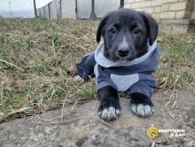 _NPfEj_78-jWK05OWk2Mj9rB9l4teweofKG-CzA4ROJy4G1C89AEtw4YrethM8gVVSBfPfKYCYoNQF_HQnJ1EyzS